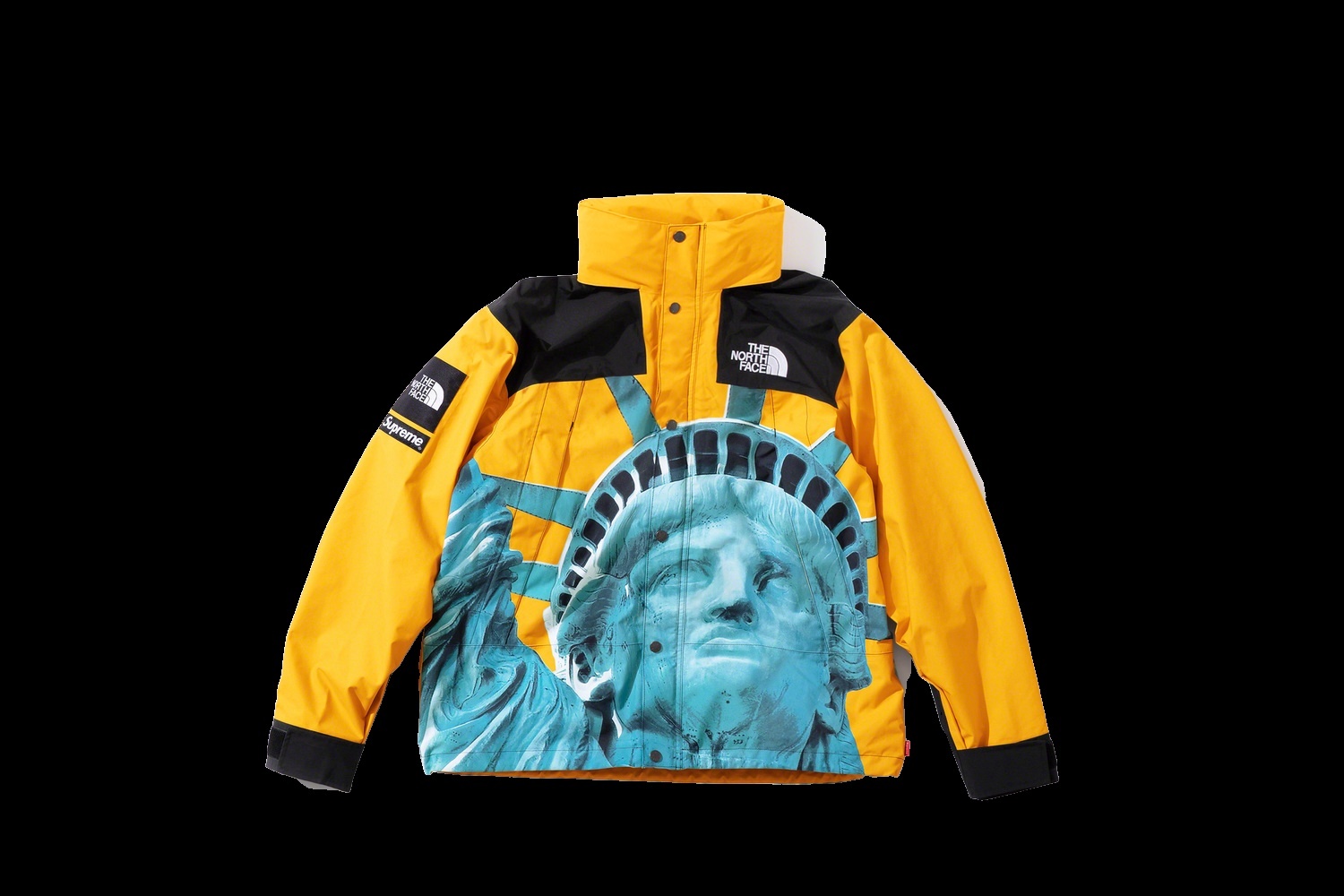 Supreme®/The North Face® Statue of Liberty Mountain Jacket view 22